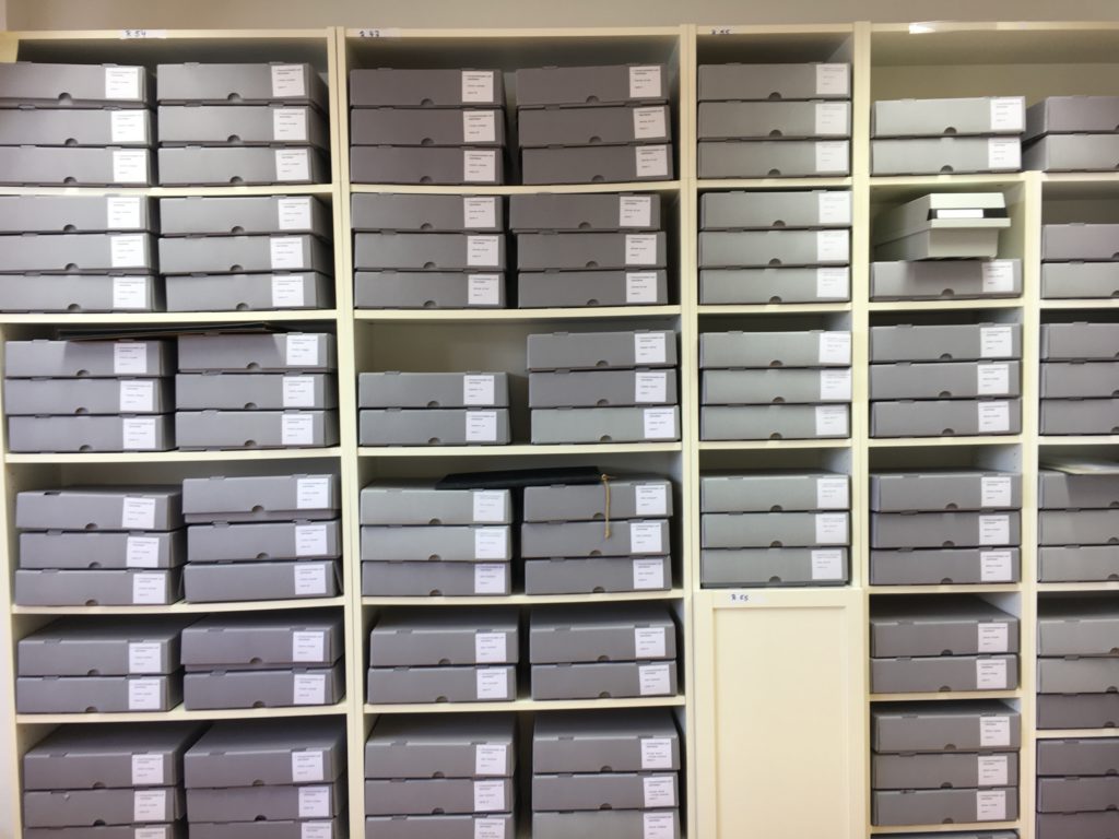 Neue ArchivSoftware Internationales Archiv für Heilpädagogik