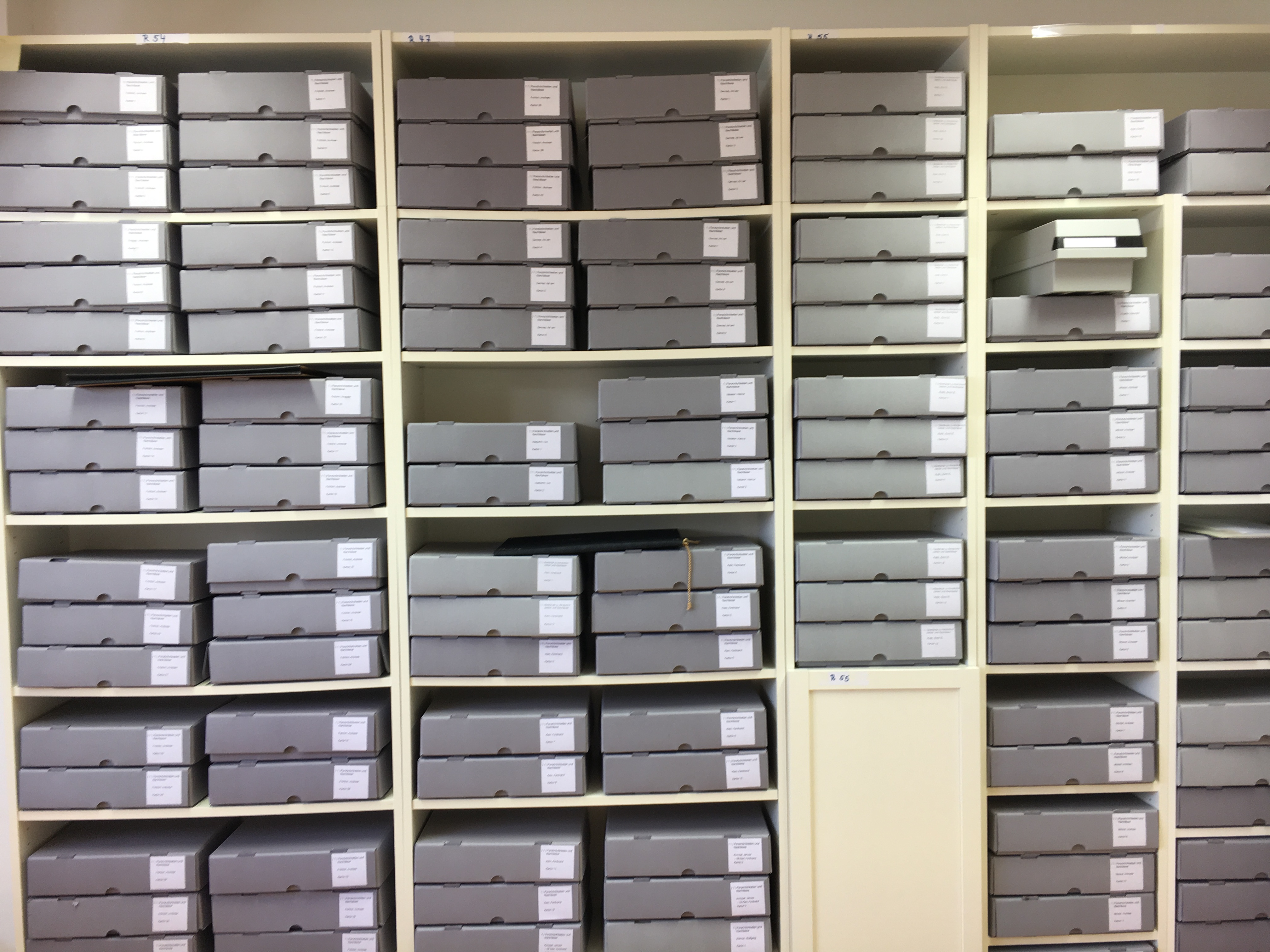 Neue Archiv-Software | Internationales Archiv für Heilpädagogik
